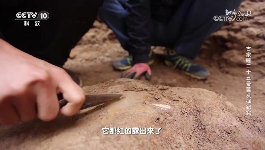 “减重”医生42天减重近50斤,澳门2025年资料大全正版资料,重点解答解释落实_正式版V10.82