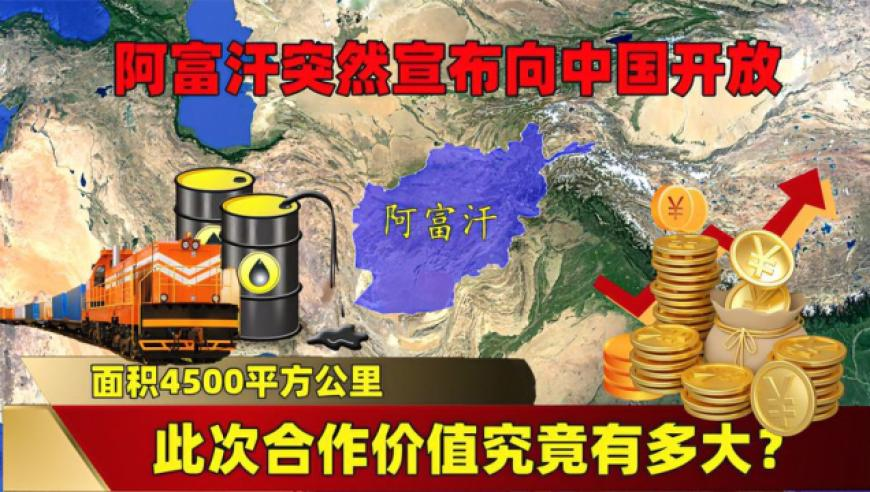 新澳今晚马会传真,央视曝光卖惨主播骗人流水线,最佳精选解释落实_基础版V12.55