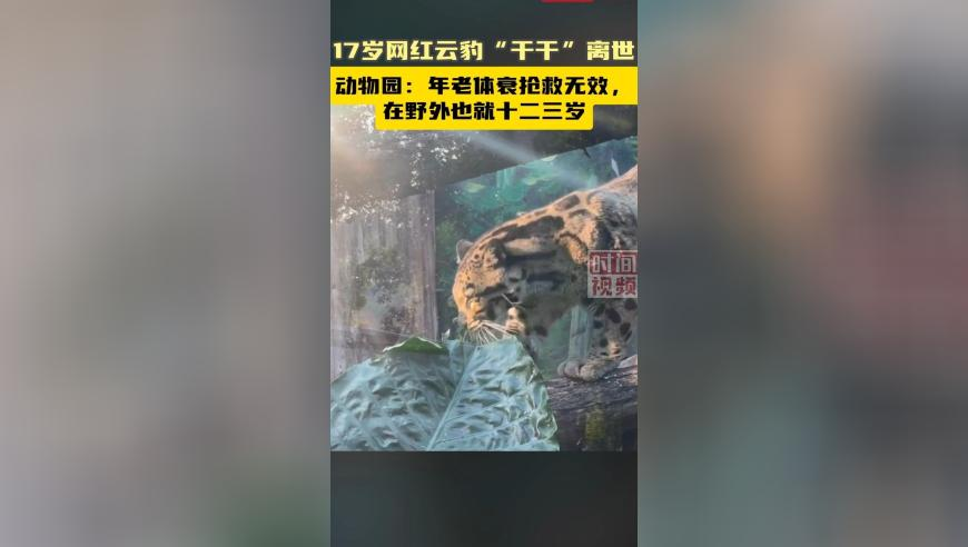 桑延守护型男友,澳l门六彩资料开奖记录,经典解释落实_探索版V8.31