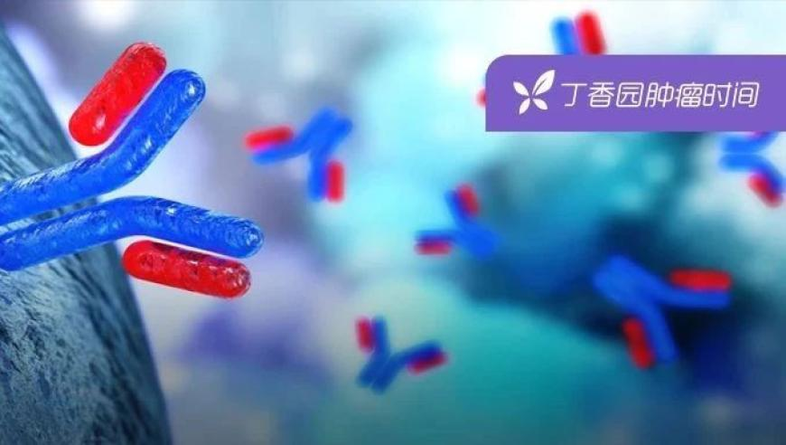唐鉴军前妻回应女儿唐墩墩直播,六和彩资料有哪些网址可以看2025直播,精准解释落实及其象征意义_精简版V15.29