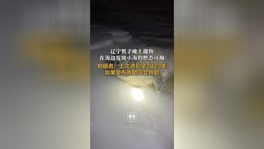 住宅层高标准将不低于3米,2025年管家婆三肖一肖准,决策资料解释落实_GM版V6.30